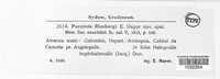 Image Associated With the Occurence
